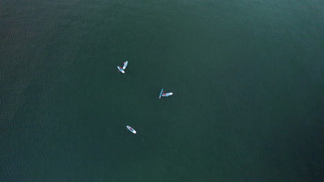 Gruppe-Aktiver-Menschen,-Die-Stand-Up-Paddle-Boarding-SUP-In-Der-Ostsee-Trainieren---Luftaufstieg-Von-Oben-Nach-Unten
