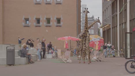 Two-street-performers-dressed-as-giraffes-walking-around-on-city-square