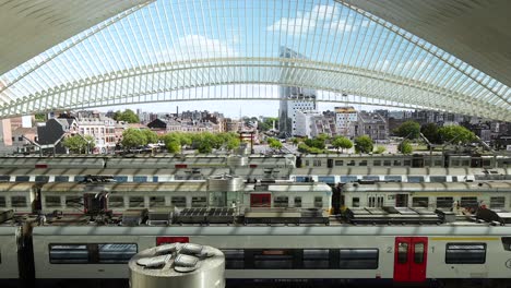 Railway-station-Liège-Guillemins-designed-by-architect-Santiago-Calatrava-in-Belgium---Time-lapse,-zoom-in