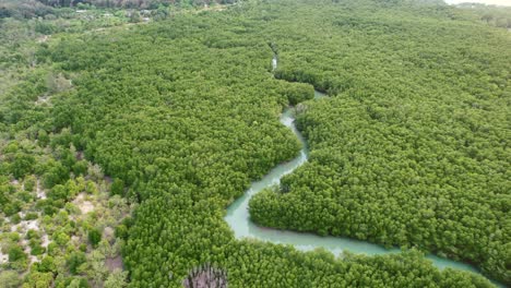 tropical-turquoise-blue-mangrove-river-forest-on-island-in-thailand-from-above,-aerial