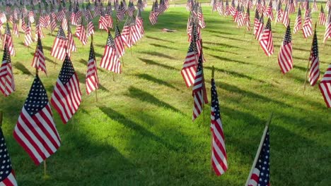 American-flags-on-the-green-field-fluttering-in-the-wind-in-the-afternoon