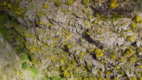Aerial-birds-eye-shot-of-the-terrain-surrounding-Cascata-De-Fisgas-Do-Ermelo---Beautiful-cascading-waterfalls-in-the-Parque-Natural-do-Alvao---Portugal