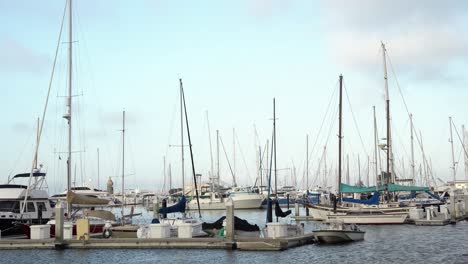 Parking-lot-of-ships-in-the-bay-area