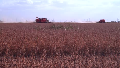 Two-combines-harvest-soybean-in-a-field-in-rural-Santa-Fe,-Argentina
