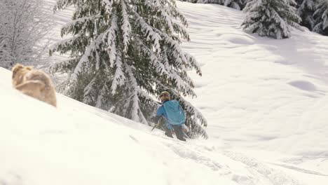 Hund-Rennt-Skifahrer-In-Schneelandschaft-Hinterher