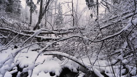 A-gurgling-stream-in-a-snowy-branch-thicket,-vertical-movement