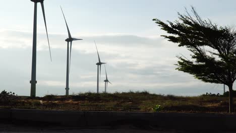 Low-angle-shot-of-wind-turbines-generating-electricity-at-Mui-Dinh,-Vietnam