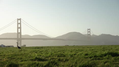 Beautiful-scenic-view-of-the-Golden-Gate-Bridge-and-a-grass-field-during-the-golden-hour