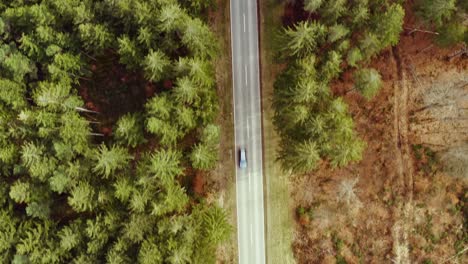 Flying-by-drone-over-a-street-in-a-forest,-cars-passing-by-the-top-shot-view,-straigh-from-above