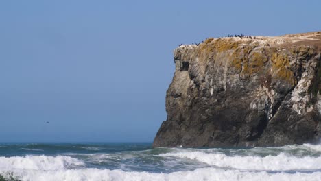 Ein-Schwarm-Kormorane-Sitzt-Auf-Einem-Massiven-Felsen-An-Der-Küste-Von-Oregon