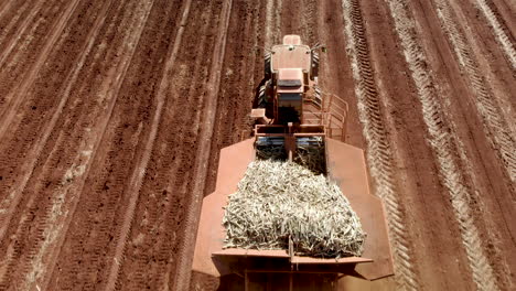 Tractor-Automatizado-Plantando-Caña-De-Azúcar-En-Brasil
