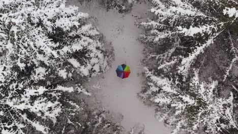 Drone-top-down-shot-at-a-colorful,-circling-rainbow-umbrella-in-a-white-winter-forest-with-framing-white-tree-tops
