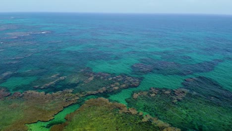 Luftaufnahme-Einer-Korallenriffgruppe-In-Einem-Warmen,-Klaren,-Flachen-Meer