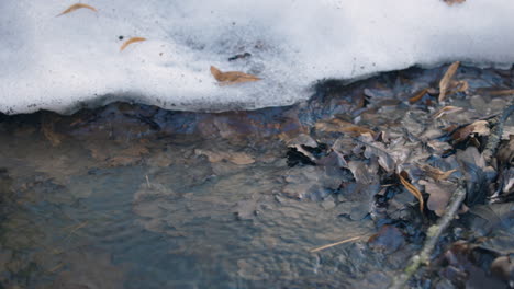 Statische-Ansicht-Des-Wassers,-Das-über-Braune,-Gefallene-Blätter-Auf-Schneebedecktem-Boden-Fließt