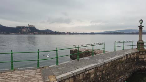 Still-seagulls-on-green-jetty-handrail-on-Maggiore-lake-with-Angera-fortress-in-background