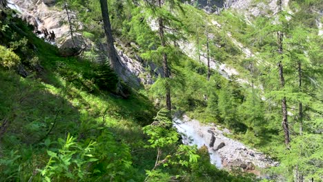 Pan-shot-of-forest-trees-growing-on-mountain-hill-and-flowing-waterfall-in-the-valley