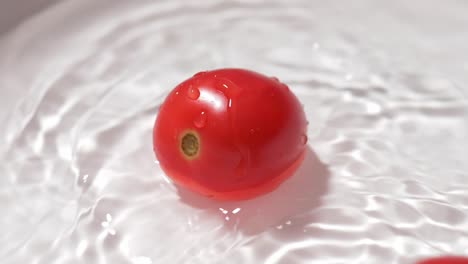 Small-tomatoes-on-a-white-background,-sanitized-in-water