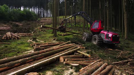 Nahaufnahme-Der-Walderntemaschine-Bei-Der-Arbeit---Verarbeitung-Von-Fichtenwald