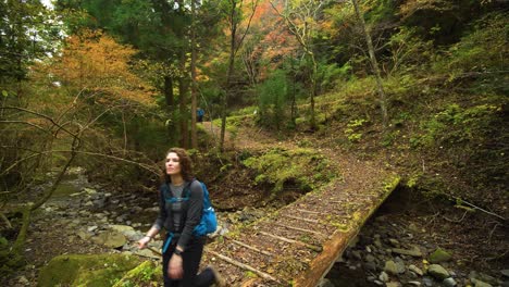 Static,-female-crosses-bridge-over-stream-with-autumn-colours,-Kumano-Kodo-Trail