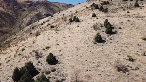 Beautiful-Aerial-4K-Drone-shot-summer-hills-in-Nevada-desert-pan-up