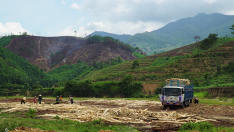 Los-Trabajadores-Cargan-Troncos-De-Madera-En-Camiones,-Deforestación-De-Bosques-Tropicales-En-Vietnam