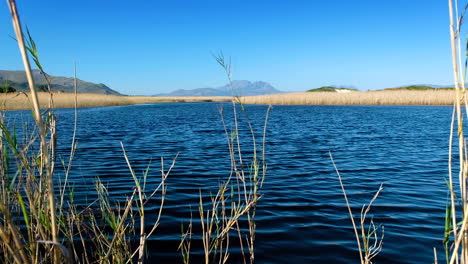 Windige-Bedingungen-In-Der-Lagune,-Braunes-Tanninreiches-Wasser,-Berghintergrund