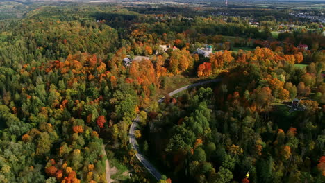 Aerial-view-of-a-lush-forest-in-beautiful-autumn-colours-with-a-road