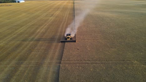 Aerial-drone-view-from-front-of-a-modern-combine-harvester-reaping-cereals-at-sunset-in-Alberta,-Canada