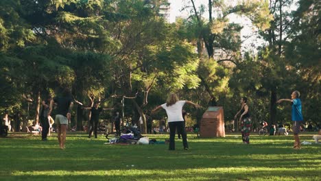 Group-of-people-doing-dance-exercises-in-Las-Heras-Park,-Buenos-Aires
