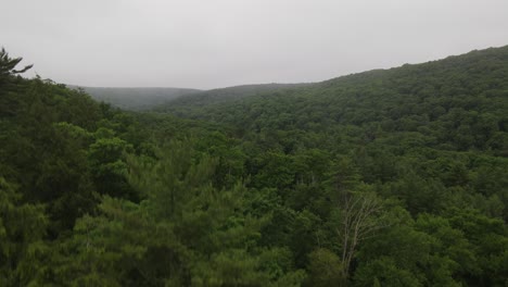 Drone-shot-in-the-Allegheny-National-Forest-in-Pennsylvania