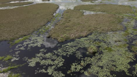 Everglades-aerial:-downward-tilt-to-black-water-from-low-access-road