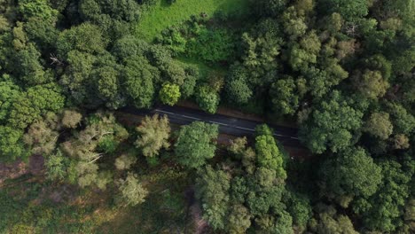 Top-down-aerial-view-descending-and-spinning-over-a-countryside-road-and-forest