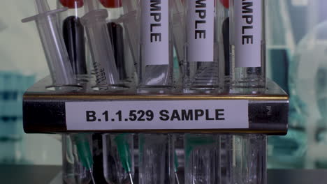 A-close-look-on-a-metal-test-tube-rack-labeled-with-B