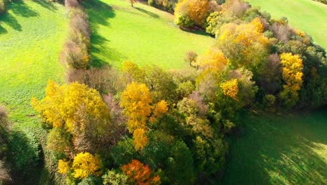 Aerial-Drone-View-Of-Autumn-Foliage-Forest