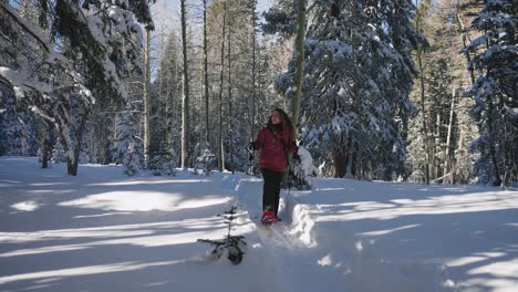 Bella-Mujer-Caminando-Con-Raquetas-De-Nieve-Por-El-Bosque