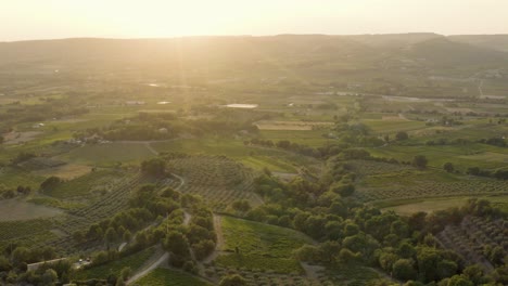 Sonnenuntergangsantenne-Der-Provence-Mit-Wein--Und-Olivenbäumen-In-Frankreich