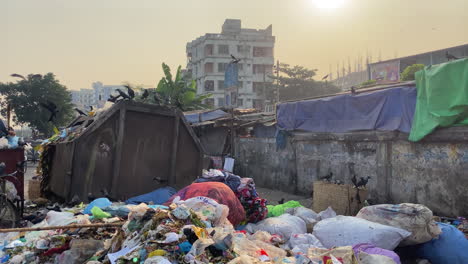 A-flock-of-birds-fly-over-piles-of-garbage-in-Dhaka,-Bangladesh