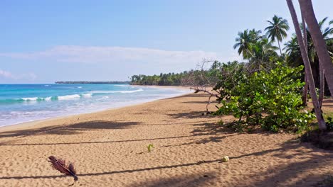Impresionante-Playa-Tropical-Bordeada-De-Palmeras-En-El-Mar-Caribe,-En-Verano