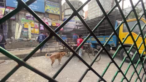 Arbeiter-Beim-Umladen-Der-Ladung-Lebender-Hühner-Vom-Lastwagen-Auf-Den-Straßen-Von-Dhaka