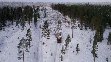 Forest-harvester-is-relocating-felled-timber-during-winter,-The-harvested-pine-logs-are-hauled-down-from-the-mountain-forest-for-further-processing-with-advanced-equipment