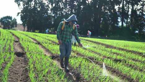 Cartago-Costa-Rica---10-De-Diciembre-De-2021:-Muchos-Agricultores-Rociando-Pesticidas-Con-Pulverizadores