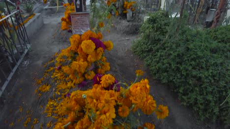 Close-up-of-a-grave-adorned-with-cempasuchil-marigold-flowers-for-the-celebration-of-the-day-of-the-dead-in-Mexico-Puebla-Cholula