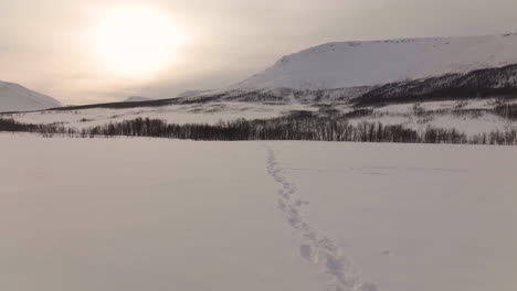 Spur-Von-Fußabdrücken-Im-Schnee-Mit-Einer-Wunderschönen-Naturlandschaft-Im-Hintergrund