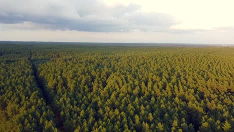 Increíble-Panorama-De-Vuelo-Aéreo-Sobre-La-Vista-Toma-De-Drones-Del-Bosque-Tormenta-De-Truenos-En-La-Reserva-Natural-Müritz-Parque-Visto-Mecklenburg-Brandenburg-Alemania-Vista-Aérea-De-Drones