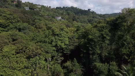 Vogelperspektive-über-Den-Wunderschönen-Grünen-Dschungel-Von-Costa-Rica,-Im-Hintergrund-Der-Strand-Von-Playa-Playitas