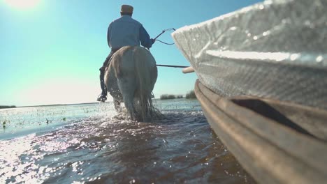 Man-on-white-horse-pulls-boat-across-shallow-estuary,-slow-motion