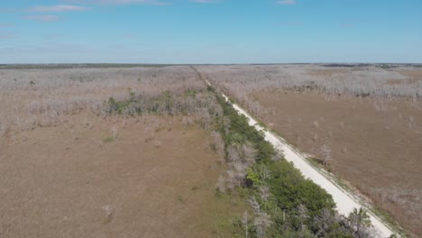 Loop-Road,-Florida,-Everglades,-Großer-Zypressensumpf,-Gründungsaufnahme,-Luftdrohnenneigung,-Sichtbarmachung-Des-Horizonts