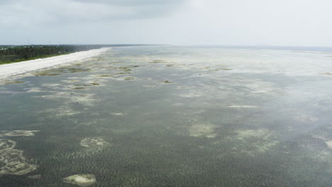 Tropischer-Meeresboden-An-Der-Küste-Mit-Viel-Algen-Bei-Ebbe,-Drohnenaufnahme
