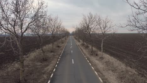 Aerial-Forward-Through-Lonely-Empty-Road-Between-Bare-Trees