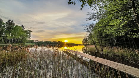 Sunset-over-a-lake-surrounded-by-dense-green-vegetation-in-timelapse